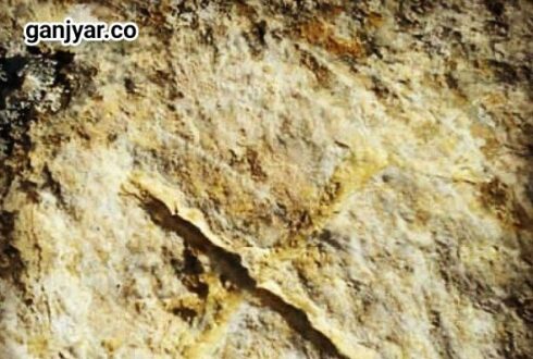 نماد ضربدر در گنج یابی