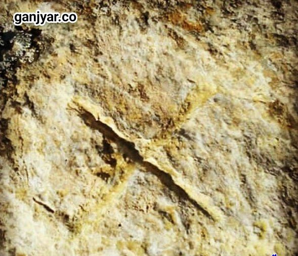 نماد ضربدر در گنج یابی